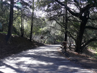 Enlarge photo 137