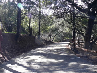 Enlarge photo 138