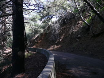 Enlarge photo 139
