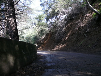 Enlarge photo 140