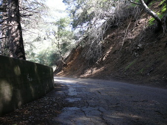 Enlarge photo 141