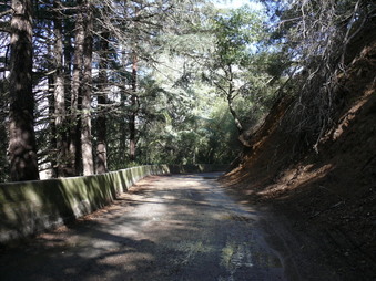 Enlarge photo 142