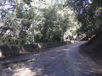 Enlarge photo 143