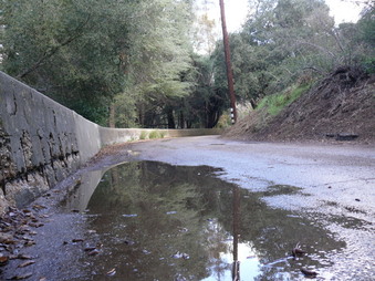 Enlarge photo 145