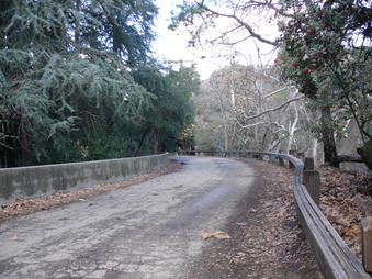 Enlarge photo 146