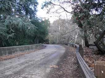 Enlarge photo 147