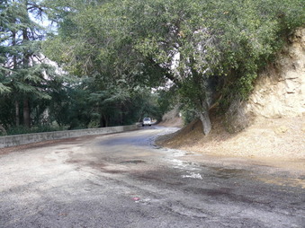 Enlarge photo 154