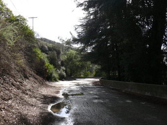Enlarge photo 161