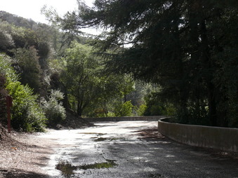 Enlarge photo 160