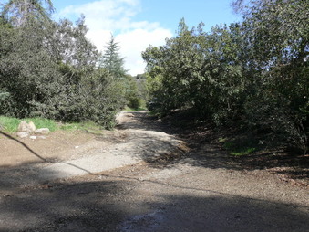 Enlarge photo 164
