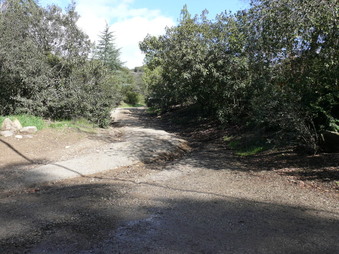 Enlarge photo 167