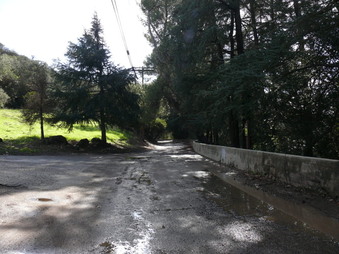 Enlarge photo 165