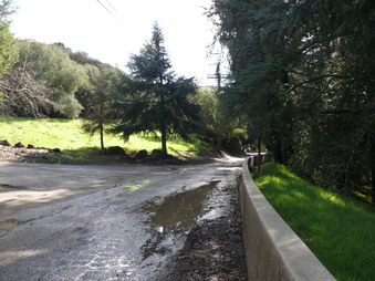 Enlarge photo 166
