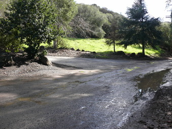 Enlarge photo 168