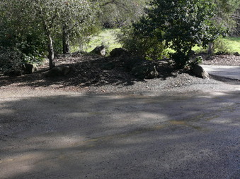 Enlarge photo 169