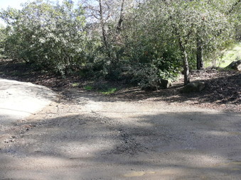 Enlarge photo 170