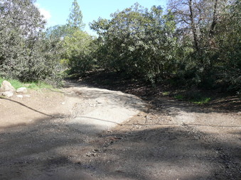 Enlarge photo 171
