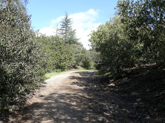 Enlarge photo 173