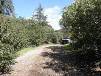 Enlarge photo 172