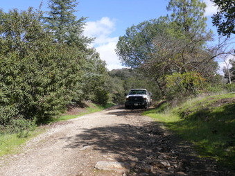 Enlarge photo 174