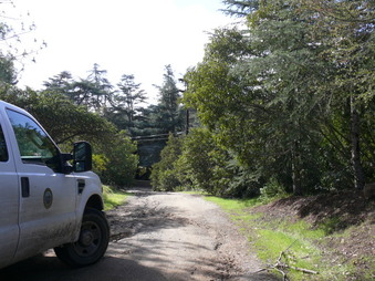 Enlarge photo 179