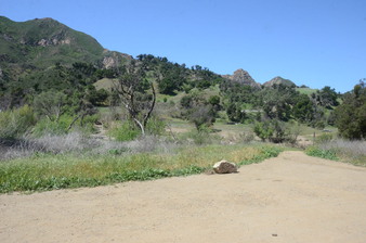 Enlarge photo 7