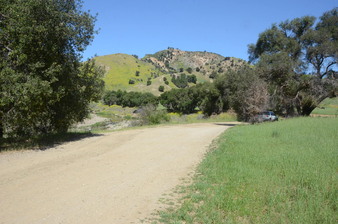 Enlarge photo 15