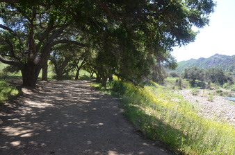 Enlarge photo 24
