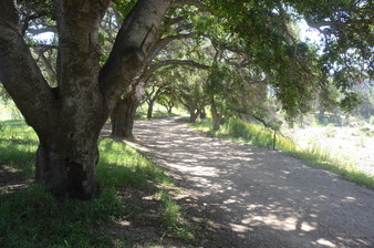Enlarge photo 25