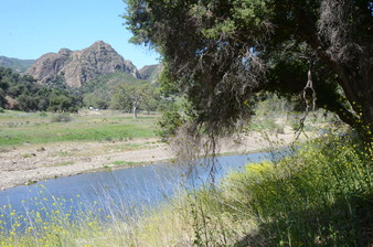 Enlarge photo 28