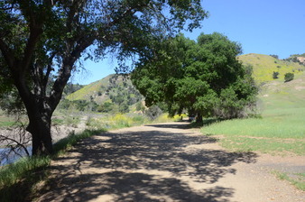 Enlarge photo 29
