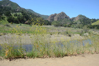 Enlarge photo 33