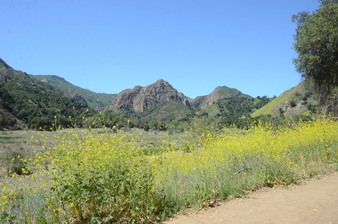 Enlarge photo 34