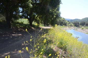 Enlarge photo 37