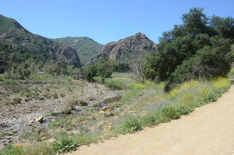 Enlarge photo 38