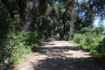 Enlarge photo 40