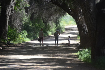 Enlarge photo 42
