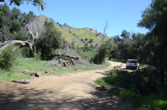 Enlarge photo 43