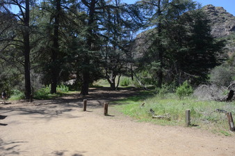 Enlarge photo 45