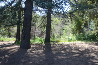 Enlarge photo 54