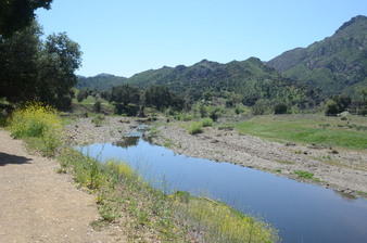 Enlarge photo 63
