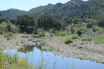 Enlarge photo 64
