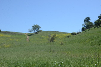 Enlarge photo 66