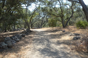 Enlarge photo 7