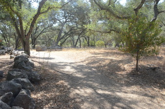 Enlarge photo 9