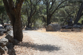 Enlarge photo 11