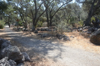 Enlarge photo 16