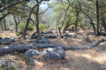 Rancho de los Fresnos -TO