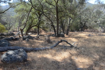 Enlarge photo 20
