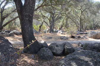 Enlarge photo 29